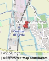 ,27010Pavia