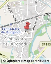 Erboristerie Sannazzaro de' Burgondi,27039Pavia