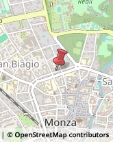 Bulbi e Sementi Monza,20900Monza e Brianza