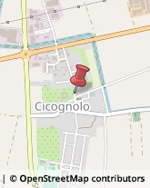 Giornalai Cicognolo,26030Cremona