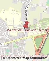 Scuole Pubbliche Padova,35136Padova