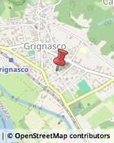 Consulenze Speciali Grignasco,28075Novara