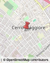 Alimenti Conservati Cerro Maggiore,20023Milano