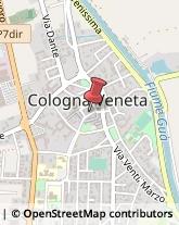 Casalinghi Cologna Veneta,37044Verona