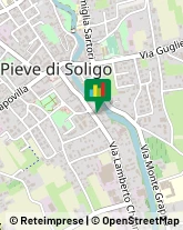 Franchising - Consulenza e Servizi,31053Treviso