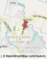 Frutta e Verdura - Dettaglio Santa Giustina in Colle,35010Padova