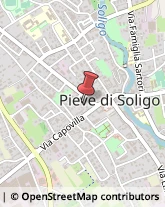 Consulenze Speciali Pieve di Soligo,31053Treviso