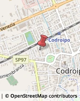 Traduttori ed Interpreti Codroipo,33033Udine