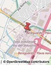 ,27020Pavia