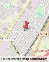 Enoteche Montecchio Maggiore,36075Vicenza