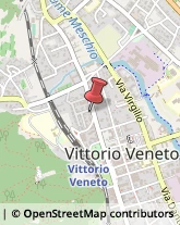 Centri di Benessere Vittorio Veneto,31029Treviso