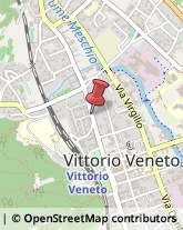 Traduttori ed Interpreti Vittorio Veneto,31029Treviso