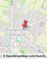 Frutta e Verdura - Dettaglio Sernaglia della Battaglia,31020Treviso