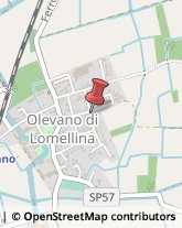 Fabbri Olevano di Lomellina,27020Pavia