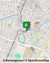 Agopuntura,35123Padova