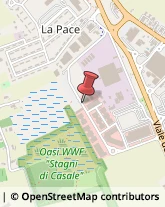 Informatica - Scuole Vicenza,36100Vicenza