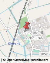 Relazioni Pubbliche Olevano di Lomellina,27036Pavia