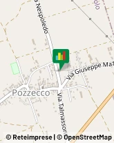 Cereali e Granaglie,33032Udine