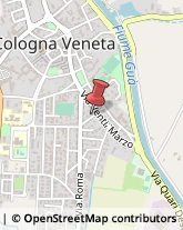 Scuole Pubbliche Cologna Veneta,37044Verona