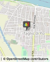 Demolizioni e Scavi Taglio di Po,45019Rovigo