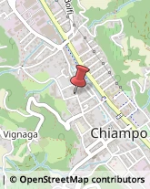 Autotrasporti Chiampo,36072Vicenza