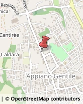 Agenzie Immobiliari Appiano Gentile,22070Como