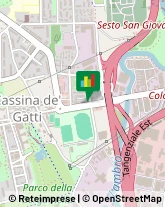 Dispositivi di Sicurezza e Allarme Sesto San Giovanni,20099Milano