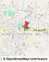 Macellerie Casale di Scodosia,35040Padova