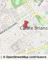Centrifughe Carate Brianza,20841Monza e Brianza