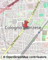 Agenzie Immobiliari Cologno Monzese,20093Milano