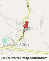 Cooperative e Consorzi Piacenza d'Adige,35040Padova