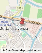 Biblioteche Private e Pubbliche Motta di Livenza,31045Treviso