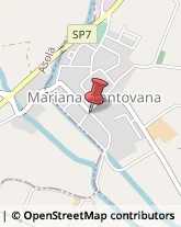 ,46010Mantova