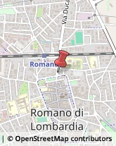 Commercialisti Romano di Lombardia,24058Bergamo