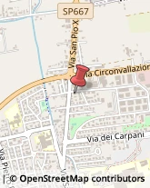 Assicurazioni,31033Treviso