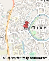 Consulenza Commerciale Cittadella,35013Padova