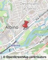 Via Provinciale, 31,24021Albino