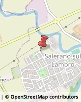 Imprese di Pulizia Salerano sul Lambro,26857Lodi