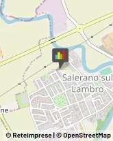 Imprese di Pulizia Salerano sul Lambro,26857Lodi