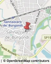 Casalinghi Sannazzaro de' Burgondi,27039Pavia
