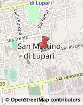 Notai San Martino di Lupari,35018Padova