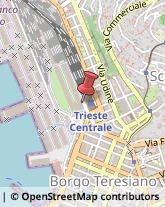 Mercati Generali e Concessionarie di Mercato Trieste,34135Trieste