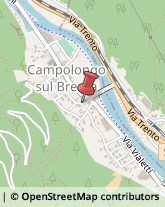 Maglieria - Produzione Campolongo sul Brenta,36020Vicenza