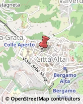 Articoli Natalizi Bergamo,24129Bergamo