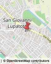 Parrucche e Toupets San Giovanni Lupatoto,37057Verona