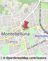 Importatori ed Esportatori Montebelluna,31044Treviso