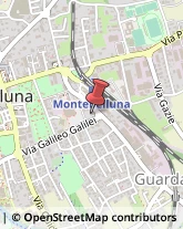 Agenzie di Vigilanza e Sorveglianza Montebelluna,31044Treviso