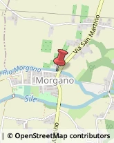 Mobili Morgano,31050Treviso