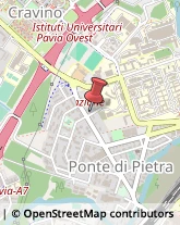 Collegi,27100Pavia