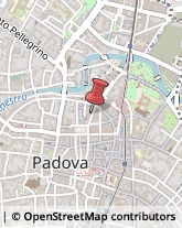 Arredamento - Vendita al Dettaglio Padova,35137Padova